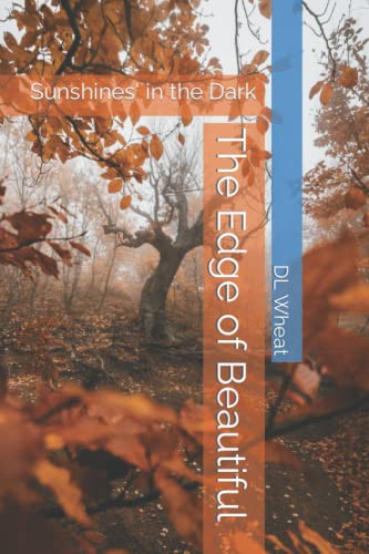 The Edge of Beautiful: Sunshines' in the Dark