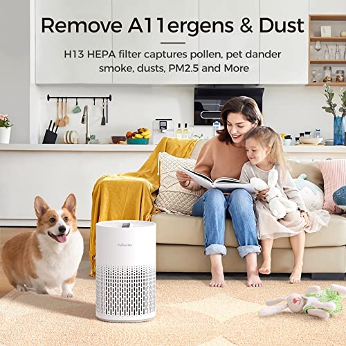 Purivortex Air Purifiers For Home, H13 True Hepa Filter For A11Ergies, Pollen, Smoke, Dusts, Pets Dander, Odor, Hair, Ozone Free, 20Db Quiet For Bedroom, Living Room, Sgs Certificaion - Ac400 White #TOP2