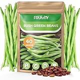 Fruivity 40 Contender Bush Bean Seeds for Planting, Premium Green Beans Seeds Pack Vegetable Garden - Stringless Variety to Plant for Outdoor Indoor Home