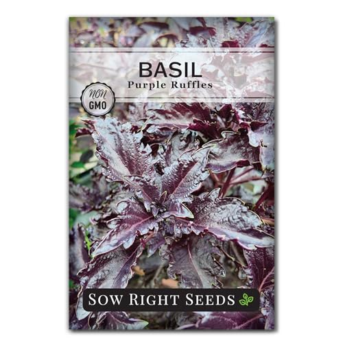 Sow Right Seeds Purple Ruffles Basil