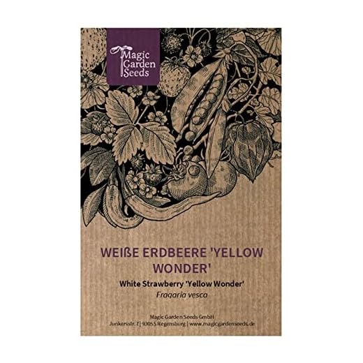 Weiße Erdbeere 'Yellow Wonder' (Fragaria vesca) - ca. 100 Samen