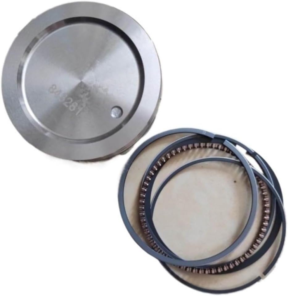 PISTON ASSEMBLY Fit For BS 303447 305442 305447 305777 295447 295442 ENGINE PARTS 843951 843281