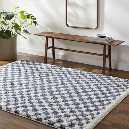 Hauteloom Kieu Contemporary Checkered Fluffy Shag Area Rug - Mode...