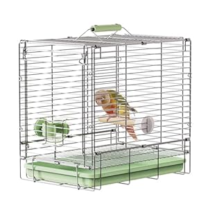 Bird Carrier Travel Cage – 304 Stainless Steel Portable Folding Bird Travel Cage with Parrot Feeder Cups & Standing Perch for Smaller Birds Conures Lovebird Cockatiel Parakeets (Green)