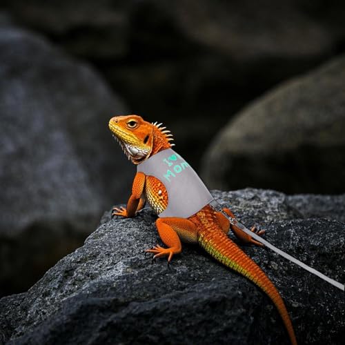 Image of Bearded Dragon Leash and Harness Set, Bearded Dragon Clothes for Lizards Harness Bearded Dragon Accessories for Tank, Cool Stuff for Bearded Dragons Kit Leopard Gecko Leash Bearded Dragon Costume