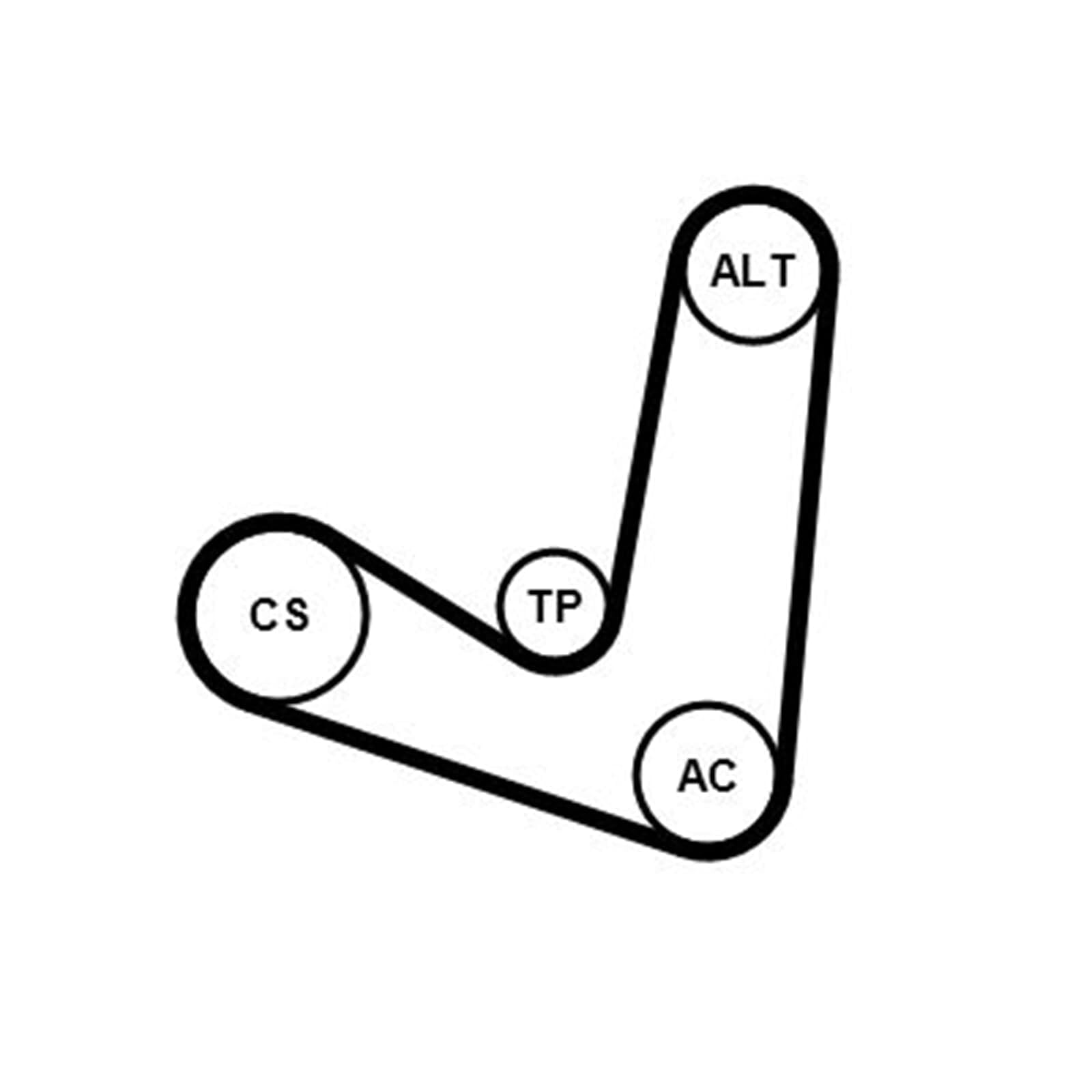 Continental 6PK1244K2 - Kit de correa para accesorios