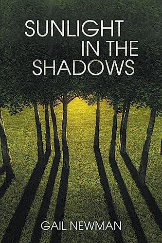 Sunlight in the Shadows view 2