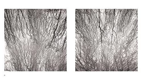 Paris Park Photographs (English And French Edition) #TOP2