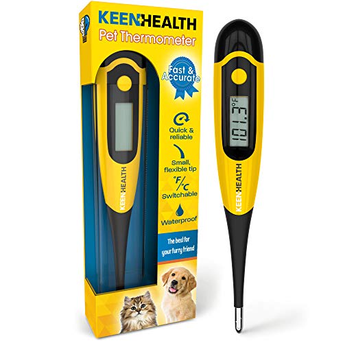 The 25 Best Dog Thermometers of 2020 Pet Life Today