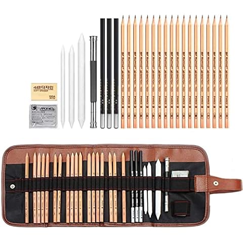 Sketching Pencil Set, 29 Pieces Drawing Pencil Sketch Pencils Set for Artists Adults Include Pencils, Charcoal Pencils, Canvas Pencil Bag and Accessories Cover
