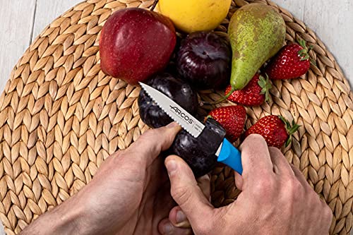 Amazon.co.jp: ARCOS パーリングナイフ 波刃 ブルー 21cm ステンレス