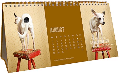 Für Hundefreunde 2016: Tischkalender