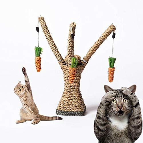 Domeilleur - Estantería para Gato, diseño de Gato escalando