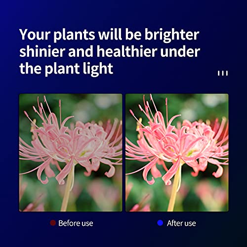 LED Plant Lamp Groeilamp E27 Bollen,Kweeklamp 50 leds,Plantengroei Licht Grow Light for Indoor Plants 4000K Volledig… - Image 6