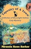 Cover zum Buch Tapestry of a Town