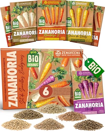 ZenGreens® - Set de semillas de zanahoria eco - 6 variedades para cultivar fácilmente en el jardín, balcón o parterre elevado - Sementes verduras