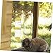 Toddmomy Guinea Pig Water Bottle Rabbit Feeder Fountain Pet Supply Safe Convenient Leakproof