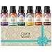 Price comparison product image GuruNanda Essential Oils Set for Diffusers, 100% Pure, Aromatherapy, Massage, Skin Care, Candle and Soap Making Lavender, Peppermint, Eucalyptus, Orange, Lemongrass, Cedarwood 0.33 Fl Oz (Pack of 6)