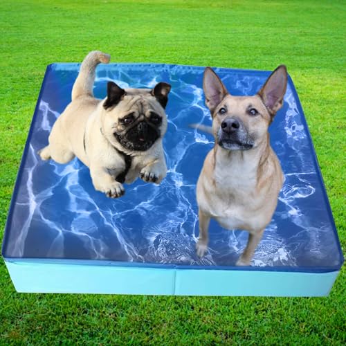 Faltbare Planschbecken für Hunde, Katzen, Schwimmbecken, Hundepool Katzenpool Faltbar, Wasserbecken für Große Kleine Hund und Katze, 50x50x10 cm (Haustierpool)