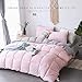 KASENTEX Reversible No-Shrink King Size Comforter Set and 2 Shams - Down Alternative Duvet Insert with Corner Ties, Lightweight, Ultra Soft, Machine Washable, All-Season (Pink Potpourri/Silver)