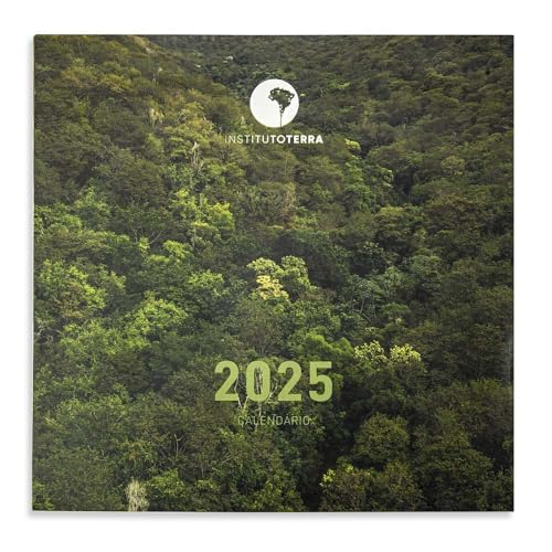 CALENDÁRIO 2025 DI CAVALCANTI MESA TECA PAPELARIA