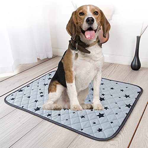 Pet Pee Pad, Absorvente Reutilizável - Estampado - Tapete De Treinamento, Pee Pad Para Cães E Gatos