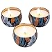 Anjou Scented Candles Gift Set, Made of 100% Natural Soy Wax, Fragrances: Very Vanilla, Christmas Wood, Fresh Wind, Use for Aromatherapy, Bath, Yoga, Perfect for Birthday, Mother's Day (3 x 2.12 oz)