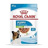 ROYAL CANIN X-Small Puppy | Doppelpack | 2 x 12 x 85 g | Feuchtnahrung für besonders kleine Hundewelpen | Bis zum 10. Lebensmonat | Mit Häppchen in Soße | Im Pouchbeutel
