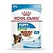 ROYAL CANIN X-Small Puppy | Doppelpack | 2 x 12 x 85 g | Feuchtnahrung für besonders kleine Hundewelpen | Bis zum 10. Lebensmonat | Mit Häppchen in Soße | Im Pouchbeutel