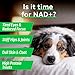 BARK&SPARK NAD+ for Dogs - Advanced Longevity Formula for Healthy Aging - Resveratrol, Quercetin & Nicotinamide - NMN Alternative for Senior Dog Vitality & Brain Health - Peanut Butter - 90 Ct