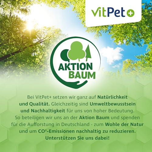 VitPet+ PneumoAir – Inhalationslösung für Pferde – Bei Husten Pferd – Schleimlösend & beruhigend – Mit Eukalyptus & Thymian – Für alle Vernebler – 100 ml