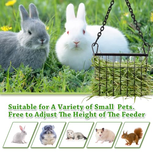 SANGLE SOPFFY Rabbit hay Feeder Small Animal Feeding Set with 350ml Water Bottle, Hay Rack, Pellet Dish for Guinea Pigs, Chinchillas, Bunny- Multifunctional Pellet Food Bowl Dispenser - Image 6