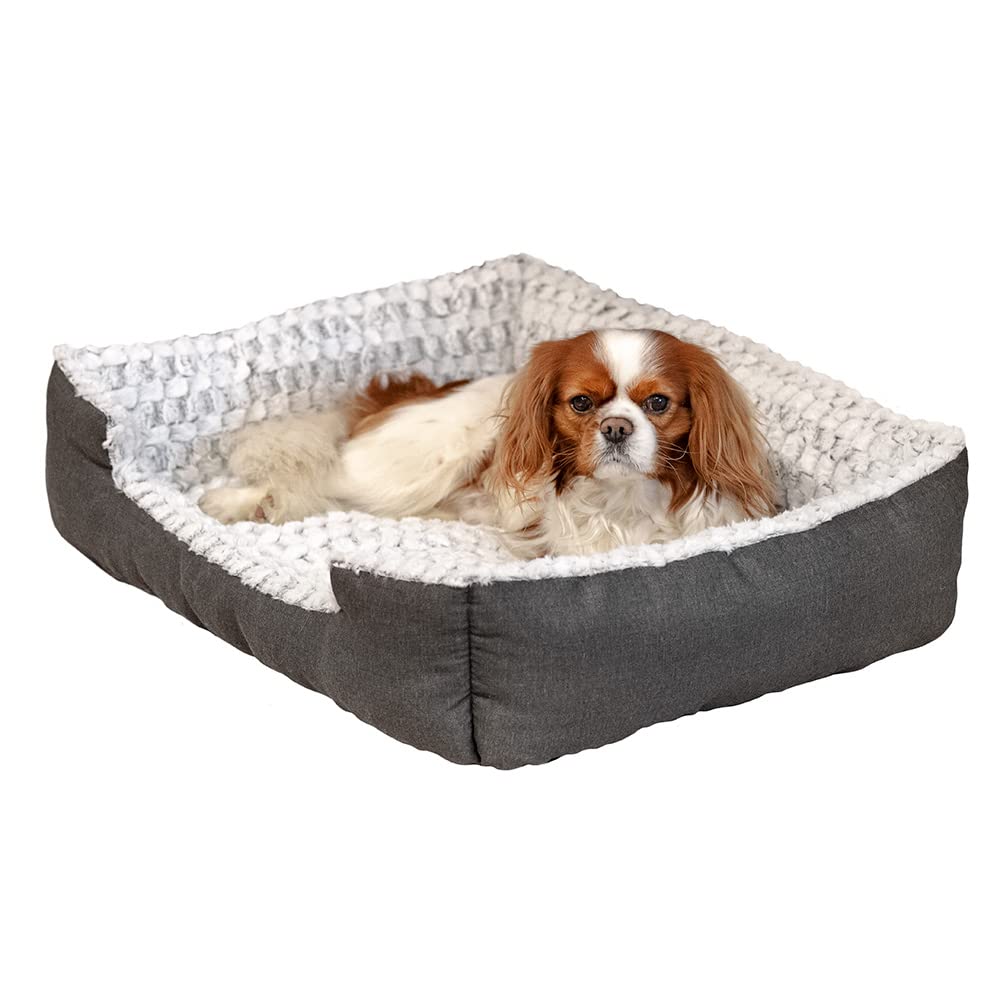 Ferplast Panier Chien Coussin Chien Moyen Taille Panier Chat Coussin Chat Doux et Confortable 48 x 37 x h 16 cm. Gris