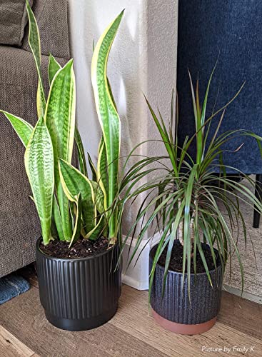 Image of LE TAUCI Ceramic Plant Pots with Drainage Holes, Set of 3, 8+6.7+5.5 Inch Stripe Garden Planter Pots for Outdoor Indoor Plants Flower, Round Succulent Orchid Flower Pot, Reactive Glaze Black
