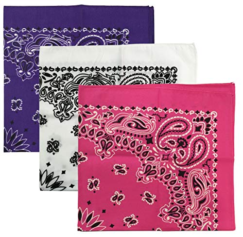 USA Made Military Army Trainmen Paisley 22 / Hav A Hank Paisley Bandana Made in USA (Set of 3) (A PU-WH-HP)