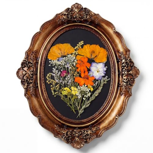 Blulu Vintage Pressed Flower Frame with 40 Dried Flowers 5x7