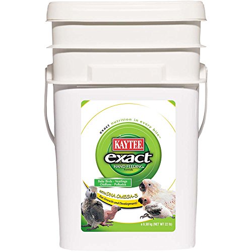 Kaytee Exact Hand Feeding Formula Parrot - 22lb