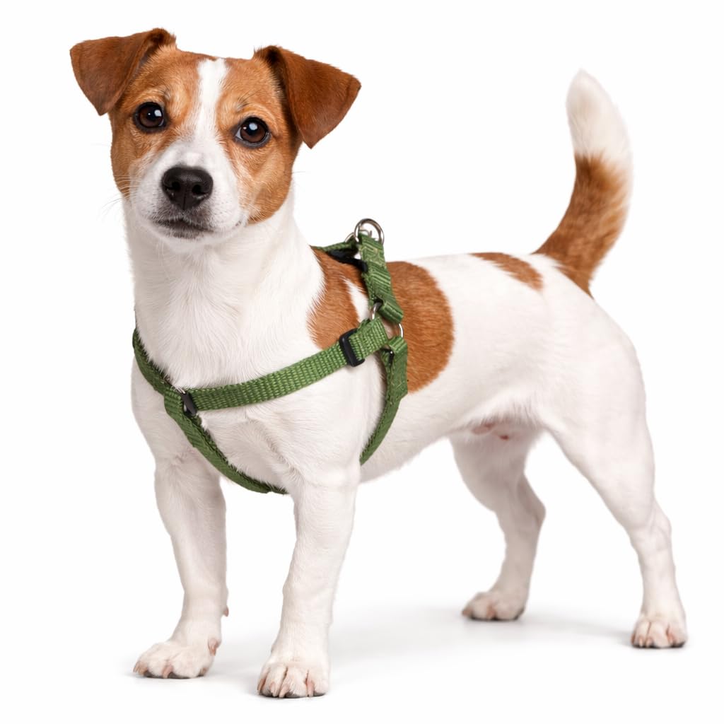 Dog Harness Step&Go Ziggi Khaki S 25-45cm 25-45cm 15mm
