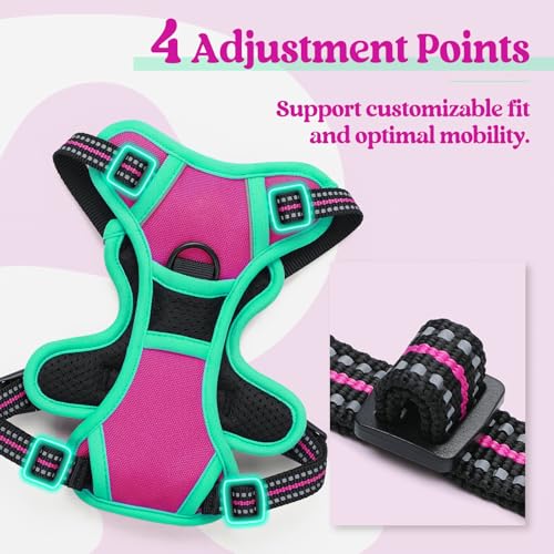 Image of rabbitgoo Dog Harness No Pull with 2 Leash Clips, Adjustable Soft Padded, Reflective Oxford No Choke Pet Vest with Easy Control Handle for Large Dogs, Hot Pink & Turquoise, XS