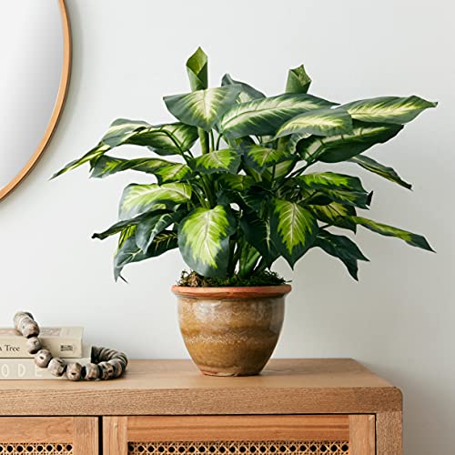 Nearly Natural Dieffenbachia Ceramic Planter Artificial Plant, Green #TOP7