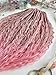 BOHO Curly Double Ended Dreadlock Extensions 21Inch Ombre Wavy Dreads 10 Strands Handmade Crochet Thin Soft Loc Extensions for Women Men Custom Dreadlock (Pastel Pink Cream)
