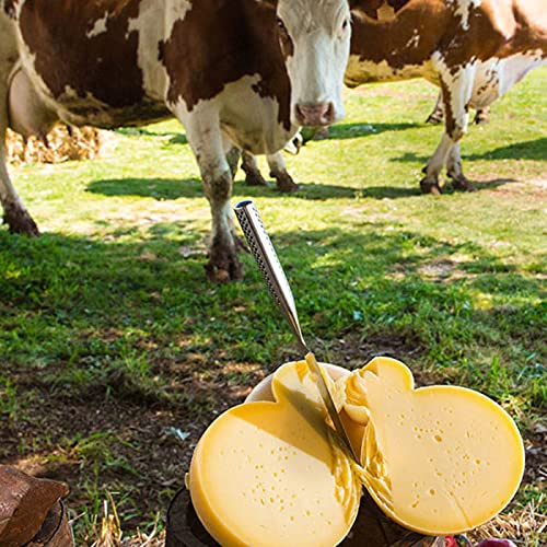 Deliziosa Caciocavallo Silano DOP aus Apulien halbfester Pasta filata Schnittkäse aus Süditalien