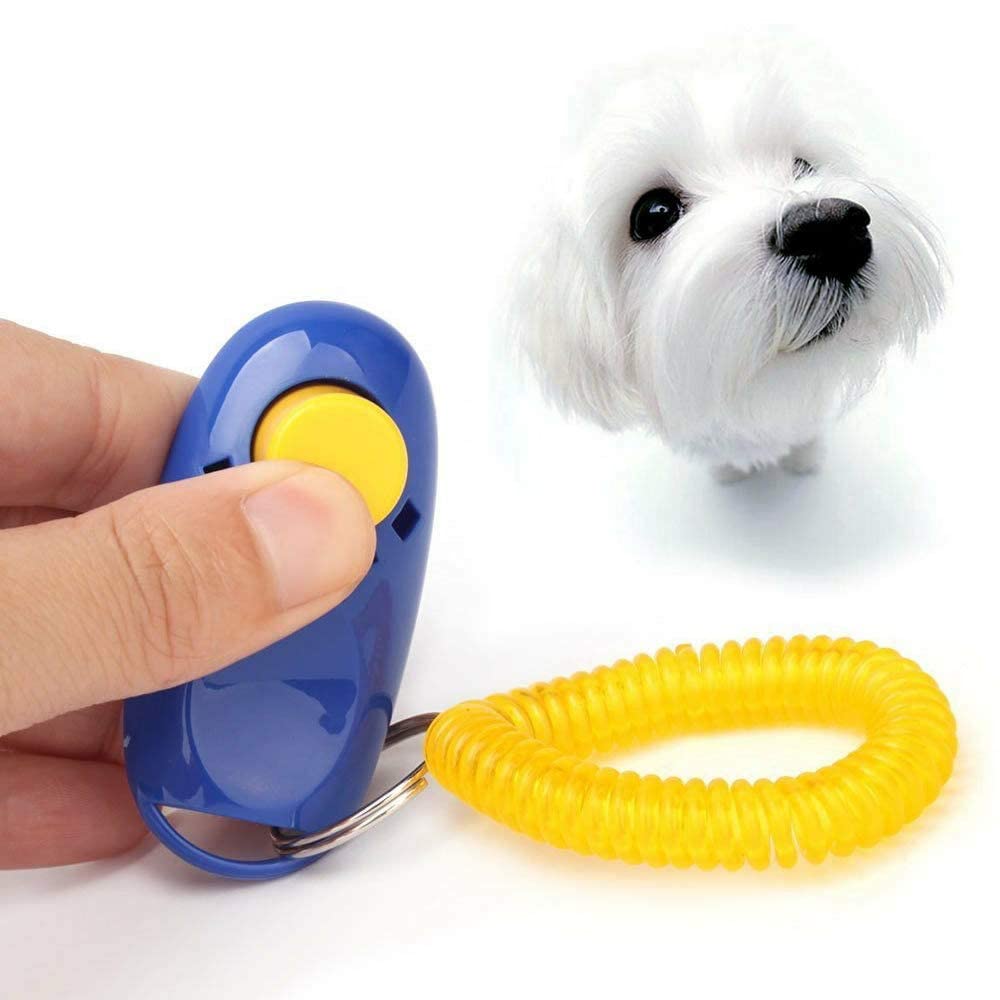 The DDS Store for Dogs, clicker for Training and Education of Dogs, clicker for Cats. with Finger Band - for Puppies from 8 Weeks 1 Piece (Color May Vary) (B0B86JQF4W) Amazon Price History, Amazon Price Tracker