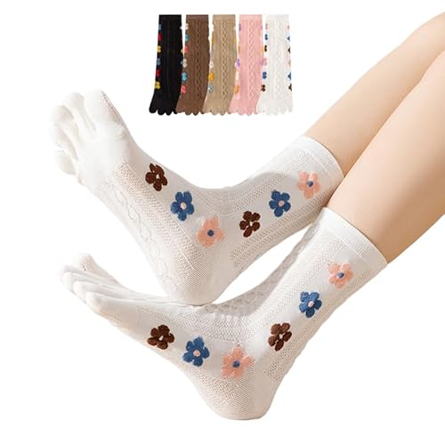 [lintai] fB[X5{w\bNX 22-25cmC fB[X  n[g × jbgf ʋCE_炩Sn ʋ΁EԁEX|[cɂ fUCZbg (Ԍܖł)