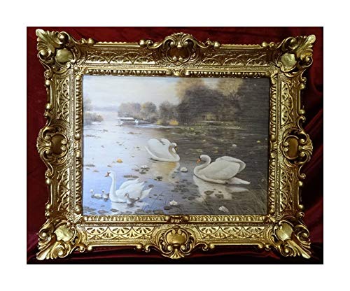 Lnxp Hermosa pintura cuadro cuadro con marco barroco antiguo Repro marco cisnes 56 x 46 cm 50B
