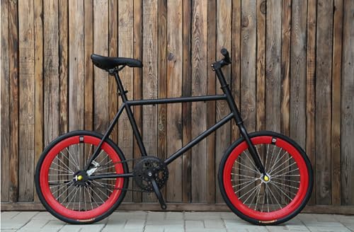Deerou20インチミニベロ 自転車20インチ軽量 ロードサイクリング 持ち運び サドル高さ調整可能 ブレーキ感度 防滑タイヤ 高炭素鋼フレーム ソリッドタイヤ、小径車男女兼用 大人 子供用 通勤 通学 街乗り初心者 男女兼用 (L)