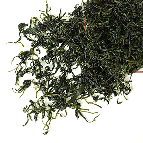 Goartea Ku Ding Tea 100G / 3.5Oz Supreme Grade Bitter Green Tea Kuding Tea - Ku Ding Herbal Tea Chinese Qing Shan Lu Shui Loose Small-Leaf #TOP2
