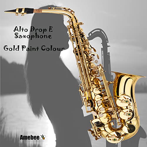 Saxophone E Flat Alto Sax Full Kit For Music Beginners With Carving, Mouthpiece, Carrying Case, Gloves, Cleaning Cloth Bar, Strap (Gold) #TOP4