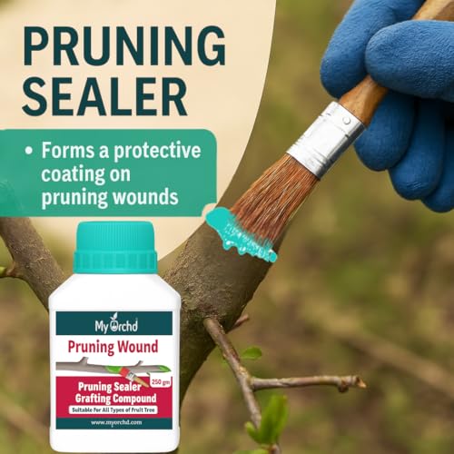 Image of Pruning Sealer Paste for Trees & Plants | Grafting & Wound Healing Cut Paste | Bonsai, Fruit Tree, Rose, Adenium | Tree Cut Sealant After Pruning | Pack of 250Gm-Aqua Color