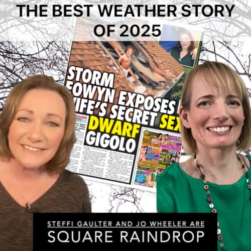 The Best Weather Story of 2025 cover art